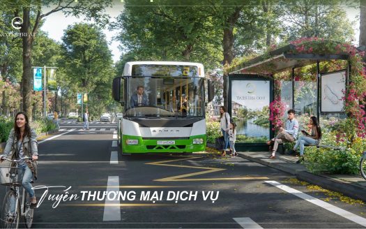 Tuyến xe bus thương mại dịch vụ